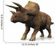 Le Triceratops Wall Decal