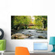 Bridge over Rushing Water Wall Decal