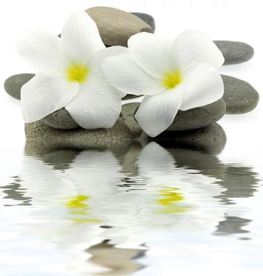 mineral water zen white floral decoration Wall Decal