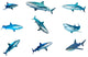 Nine Caribbean Reef Sharks Wall Decal Sticker Set