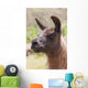 Llama Wall Mural
