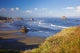 Wildflowers And Rock Formations Along The Coast At Bandon State Park Wall Mural