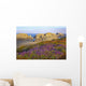 Wildflowers And Rock Formations Along The Coast At Bandon State Park Wall Mural
