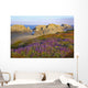 Wildflowers And Rock Formations Along The Coast At Bandon State Park Wall Mural