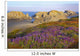 Wildflowers And Rock Formations Along The Coast At Bandon State Park Wall Mural
