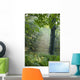 Trees In The Woods In The Early Morning Fog Wall Mural