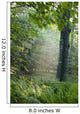 Trees In The Woods In The Early Morning Fog Wall Mural