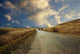 Crimea Road Wall Decal