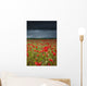 An Abundance Of Poppies In A Field Under A Stormy Sky Wall Mural