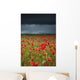 An Abundance Of Poppies In A Field Under A Stormy Sky Wall Mural