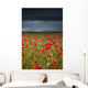 An Abundance Of Poppies In A Field Under A Stormy Sky Wall Mural