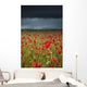 An Abundance Of Poppies In A Field Under A Stormy Sky Wall Mural