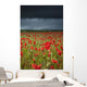 An Abundance Of Poppies In A Field Under A Stormy Sky Wall Mural