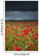 An Abundance Of Poppies In A Field Under A Stormy Sky Wall Mural