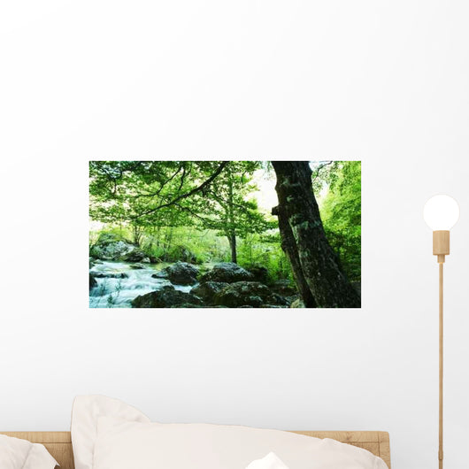 Forest River Wall Decal