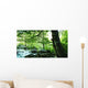 Forest River Wall Decal