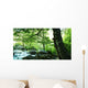 Forest River Wall Decal