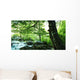 Forest River Wall Decal