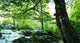 Forest River Wall Decal