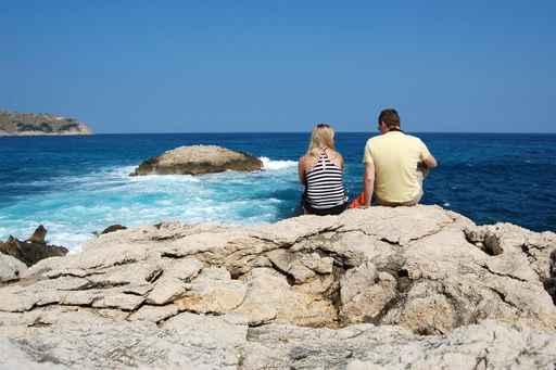 Sea Wall Decal Design 2
