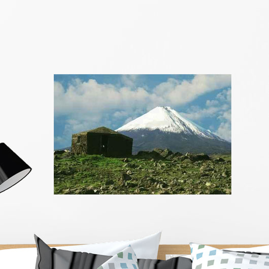Volcano Klushevskaja Wall Decal