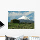 Volcano Klushevskaja Wall Decal