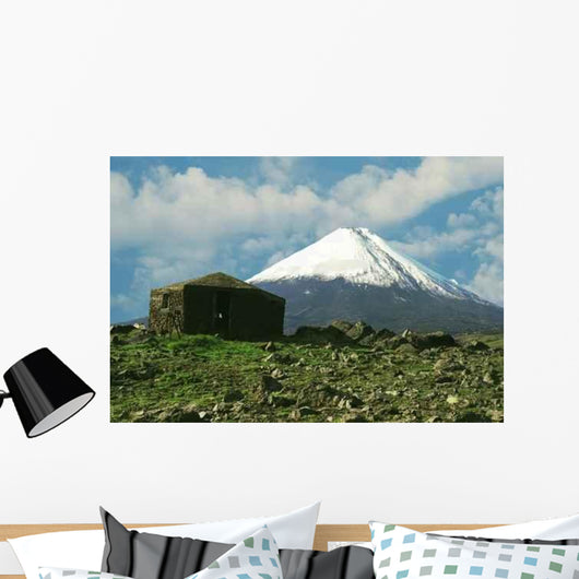 Volcano Klushevskaja Wall Decal
