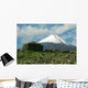 Volcano Klushevskaja Wall Decal