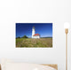 Wildflowers And Cape Blanco Lighthouse Wall Mural