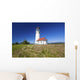 Wildflowers And Cape Blanco Lighthouse Wall Mural