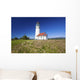 Wildflowers And Cape Blanco Lighthouse Wall Mural