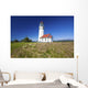 Wildflowers And Cape Blanco Lighthouse Wall Mural