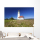Wildflowers And Cape Blanco Lighthouse Wall Mural