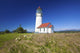 Wildflowers And Cape Blanco Lighthouse Wall Mural
