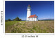 Wildflowers And Cape Blanco Lighthouse Wall Mural