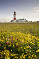 Souter Lighthouse Wall Mural