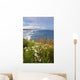 Wildflowers Along Yaquina Head Wall Mural