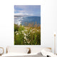 Wildflowers Along Yaquina Head Wall Mural