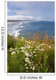 Wildflowers Along Yaquina Head Wall Mural