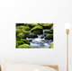 mossy river rocks Wall Mural