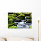 mossy river rocks Wall Mural
