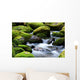 mossy river rocks Wall Mural