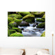 mossy river rocks Wall Mural