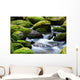 mossy river rocks Wall Mural
