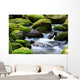 mossy river rocks Wall Mural