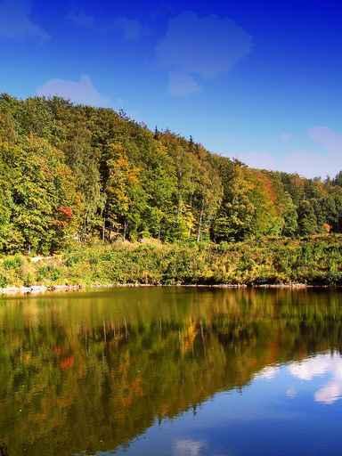 Autumn Colors Wall Decal