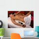 spa salon massage with hot mineral stones Wall Mural