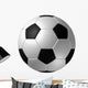 Soccer Ball Black and