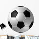 Soccer Ball Black and
