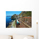 Manarola Village and Train Wall Decal